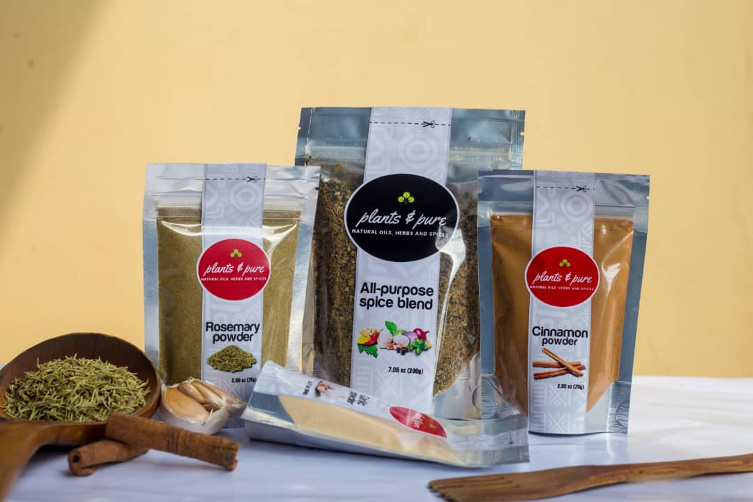 Beautiful plant arrangement